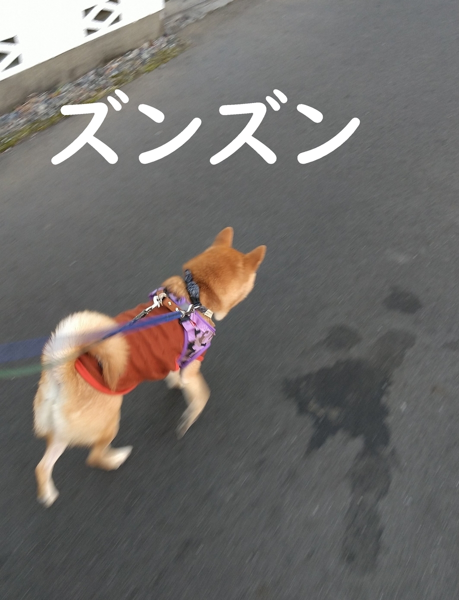f:id:hanatara:20201226133804j:plain