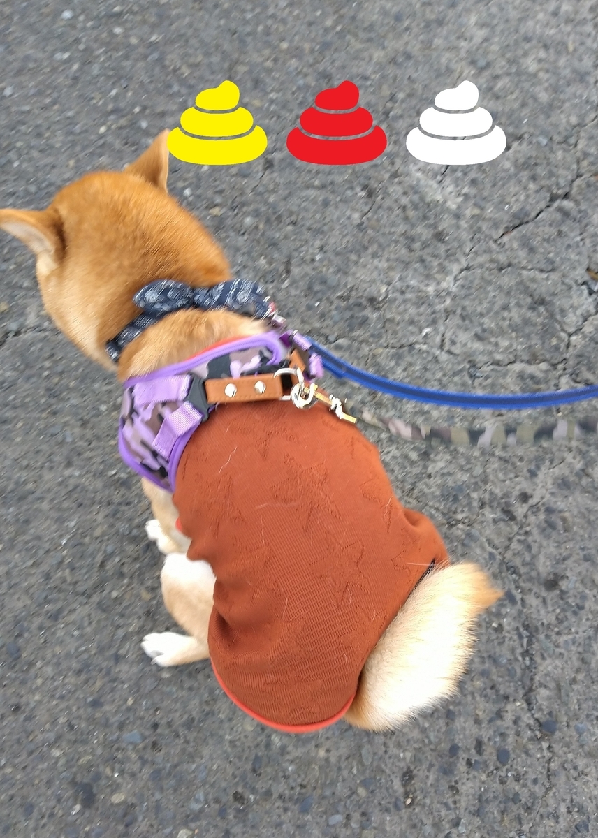 f:id:hanatara:20201226133937j:plain