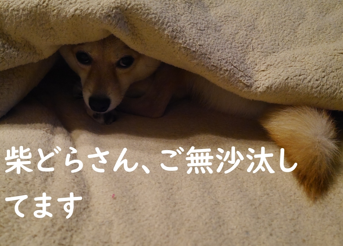 f:id:hanatara:20201226135114j:plain