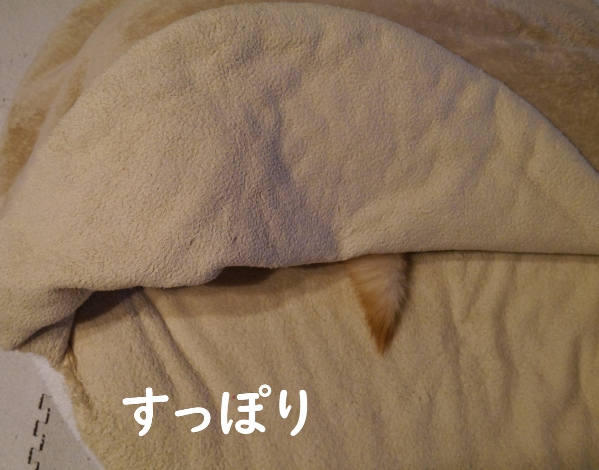 f:id:hanatara:20201226135833j:plain