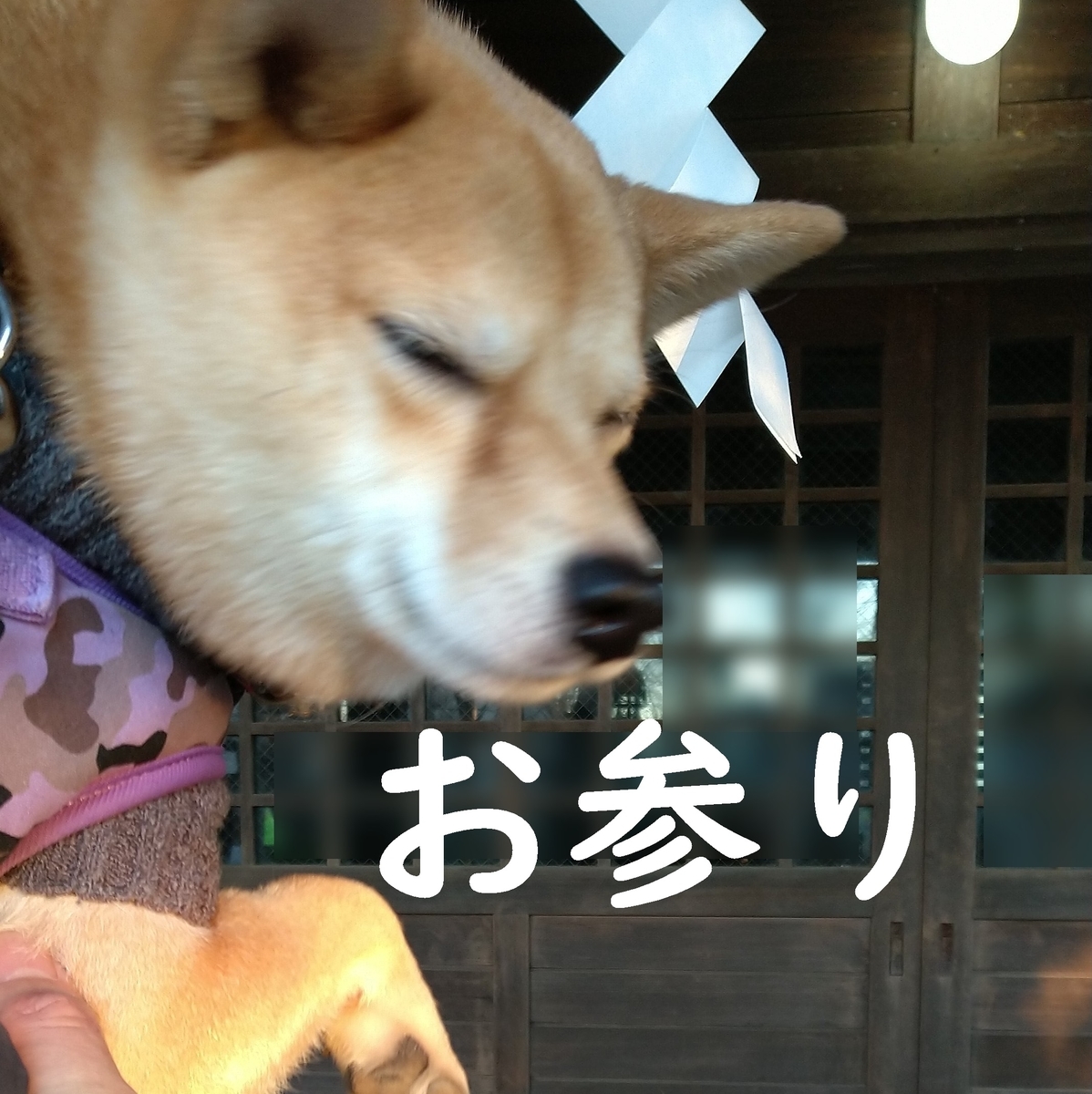 f:id:hanatara:20210101095356j:plain