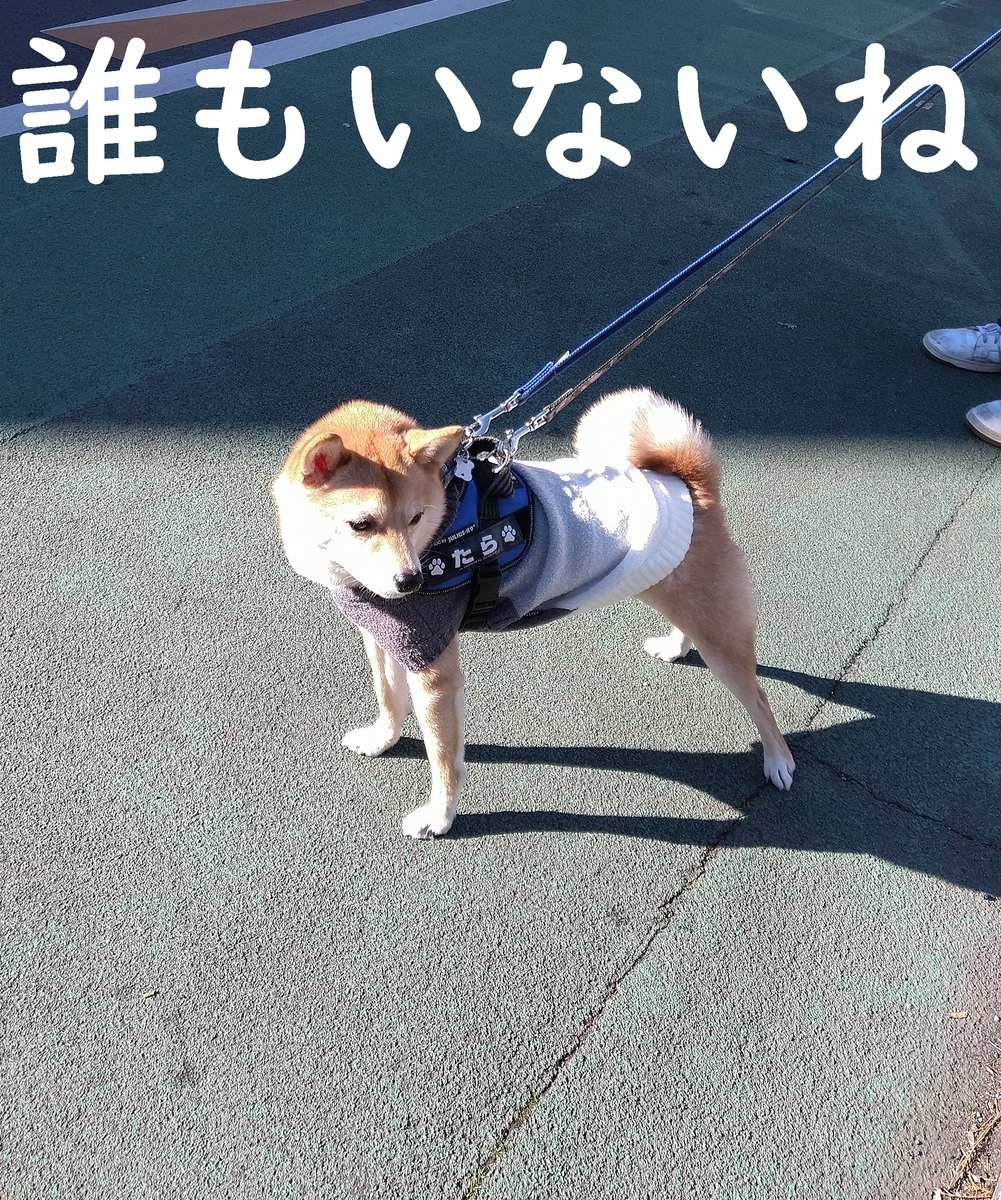 f:id:hanatara:20210102090125j:plain