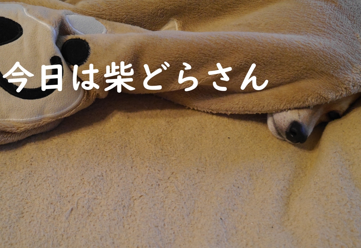 f:id:hanatara:20210102111454j:plain