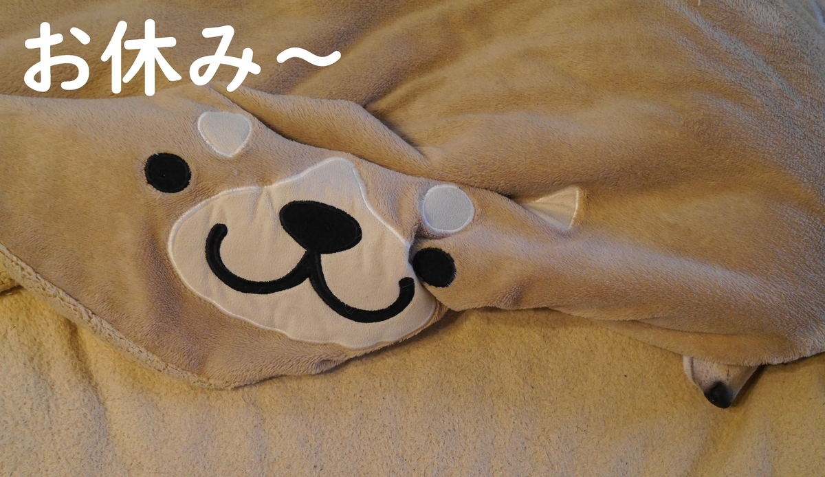 f:id:hanatara:20210102111554j:plain