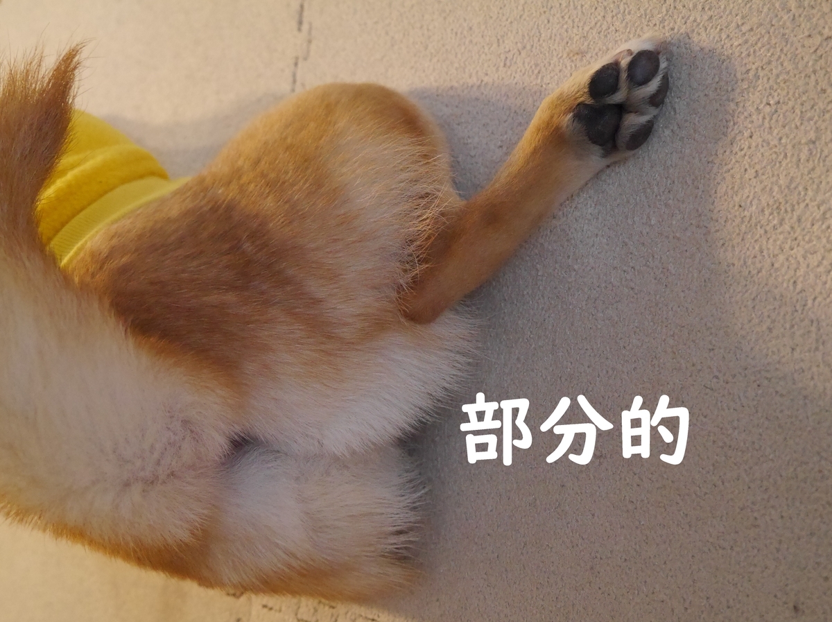 f:id:hanatara:20210105085136j:plain