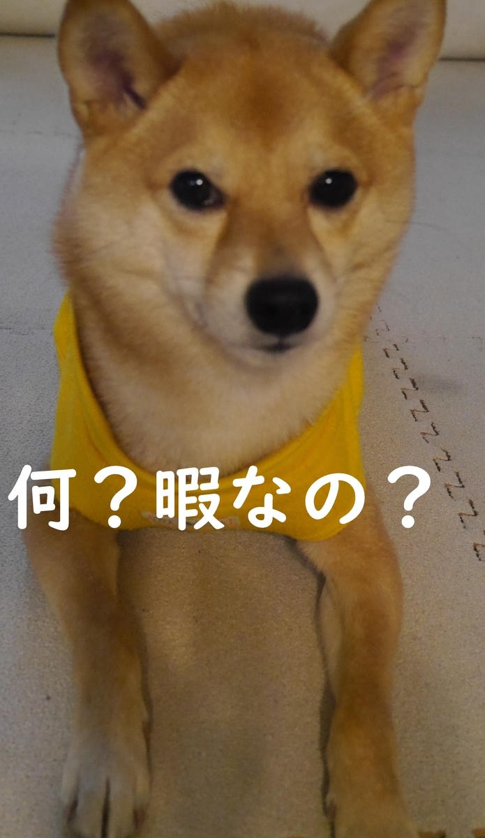 f:id:hanatara:20210105085308j:plain