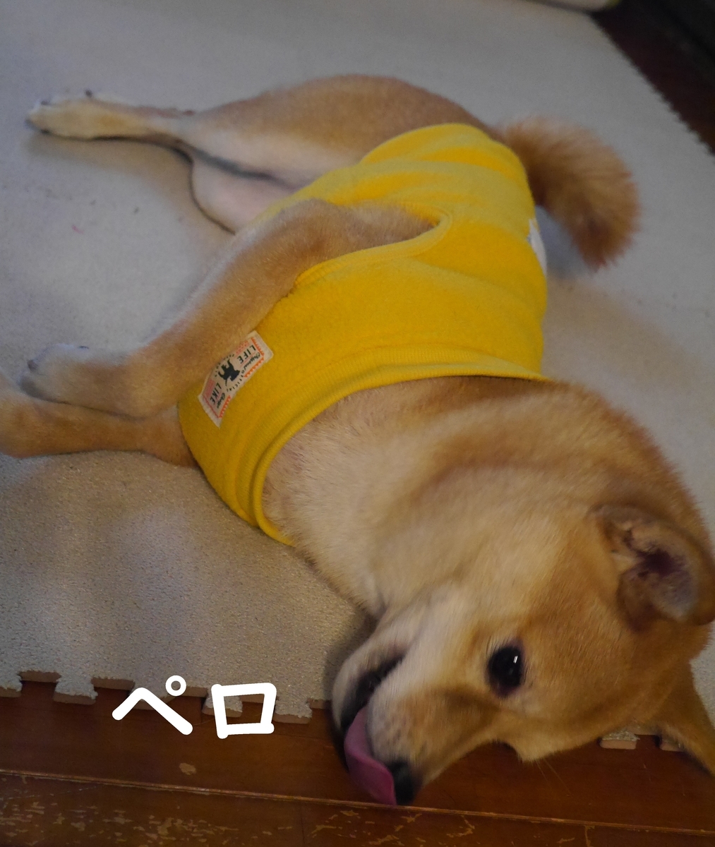 f:id:hanatara:20210105090026j:plain