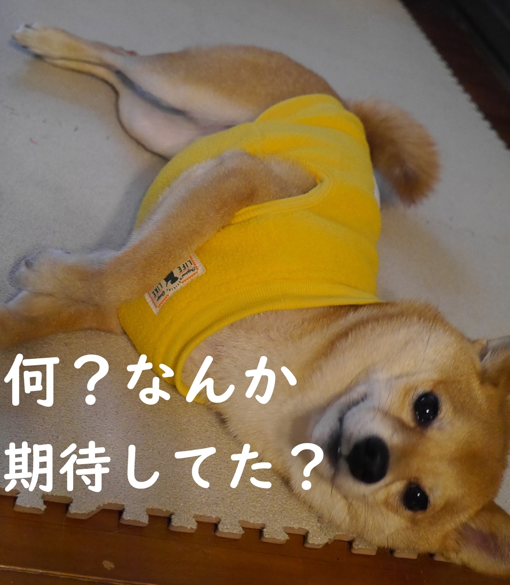f:id:hanatara:20210105090143j:plain