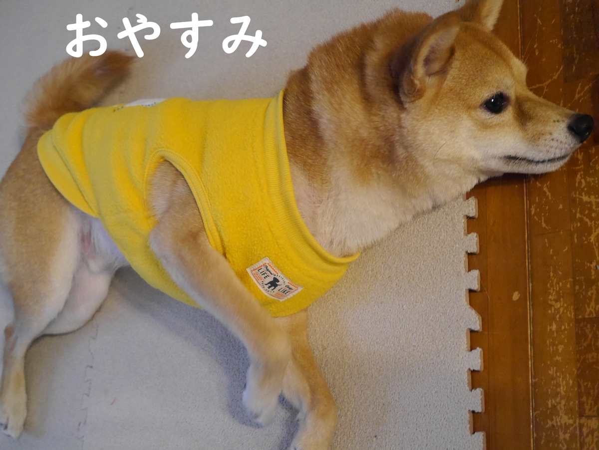 f:id:hanatara:20210105090352j:plain