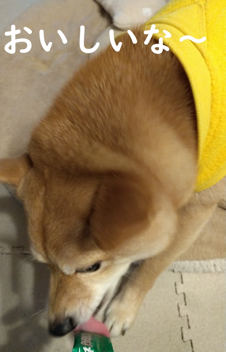 f:id:hanatara:20210105100617j:plain