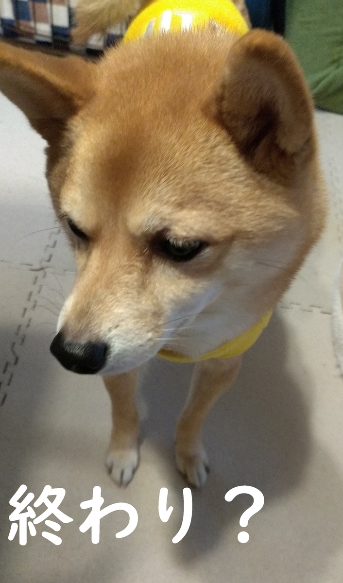 f:id:hanatara:20210105101011j:plain