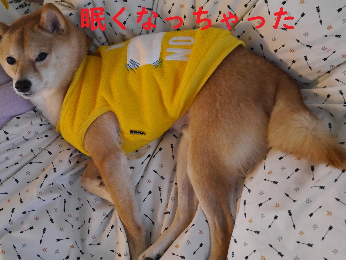 f:id:hanatara:20210105110045j:plain