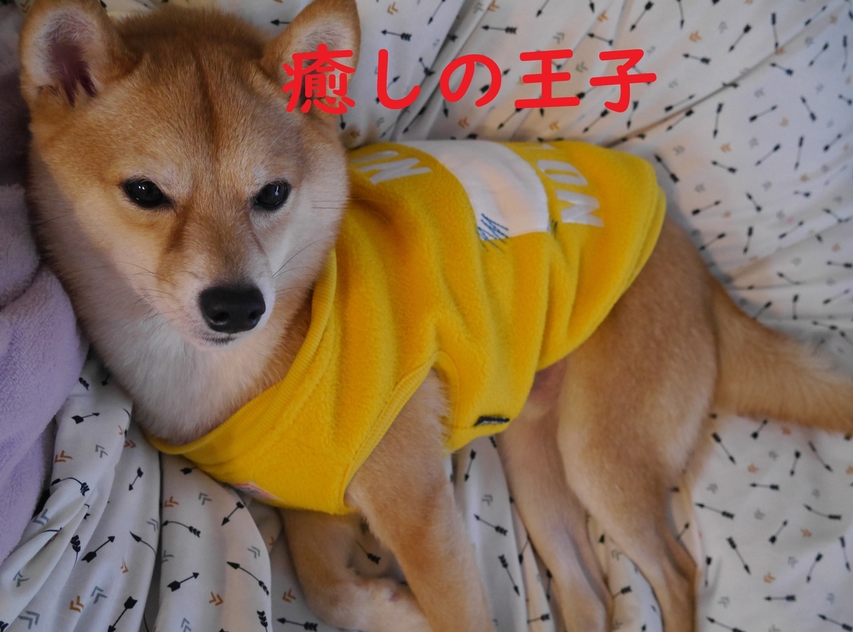 f:id:hanatara:20210105110659j:plain