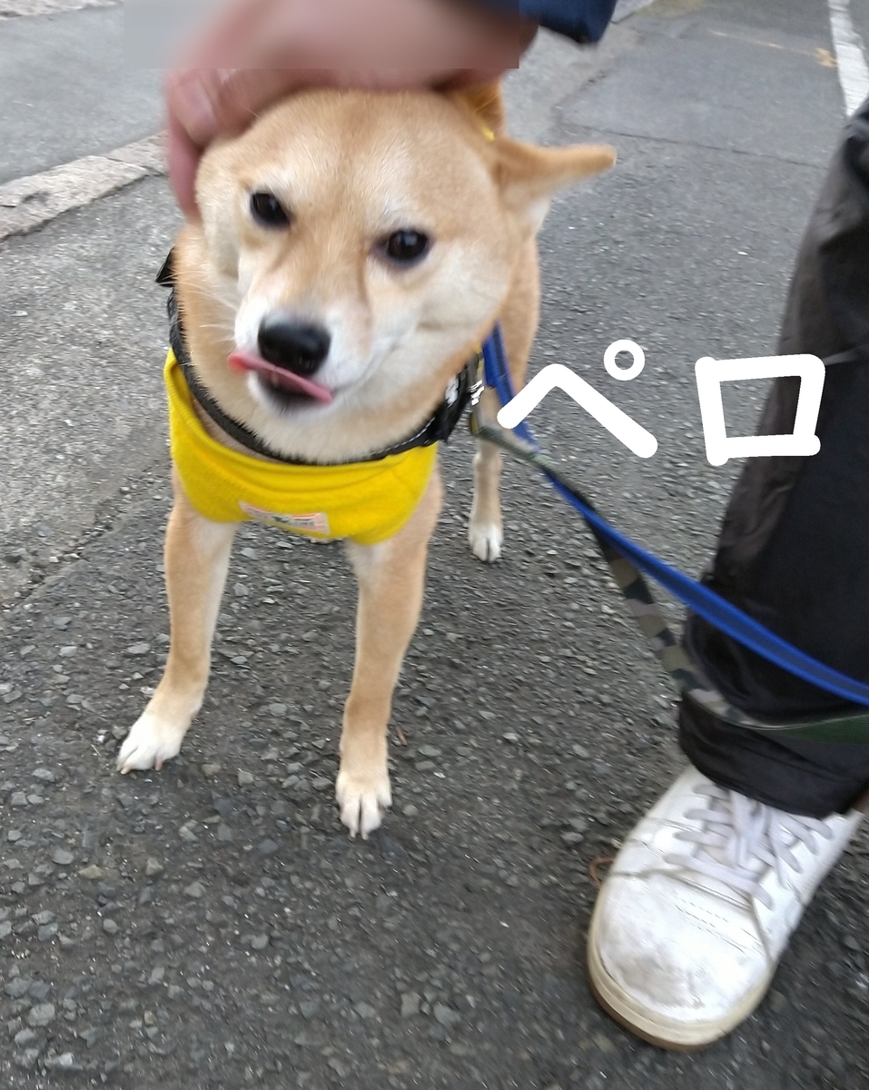 f:id:hanatara:20210110095607j:plain