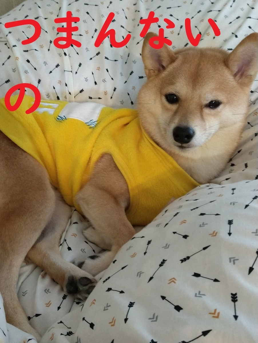 f:id:hanatara:20210110100908j:plain