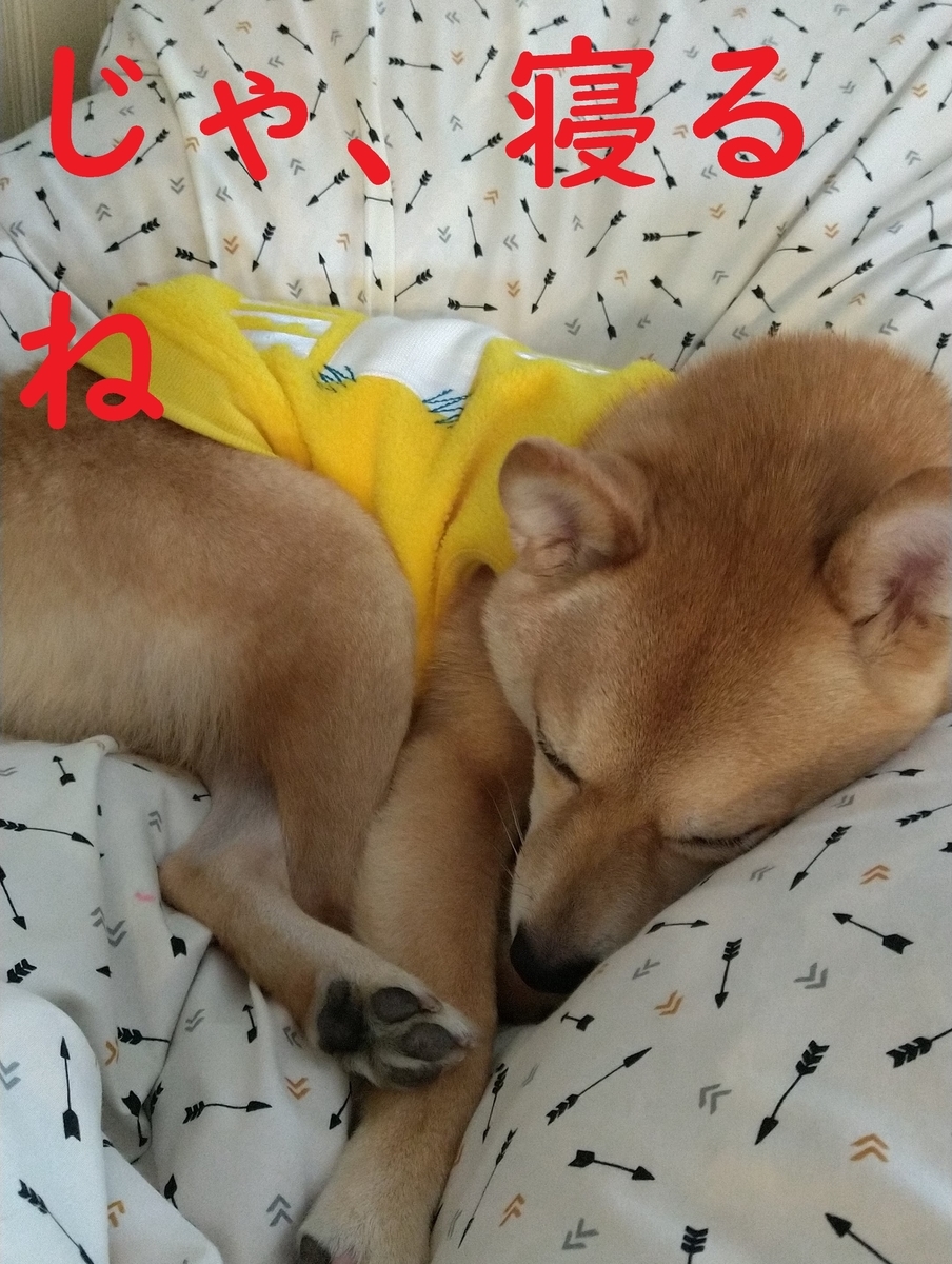 f:id:hanatara:20210110100956j:plain