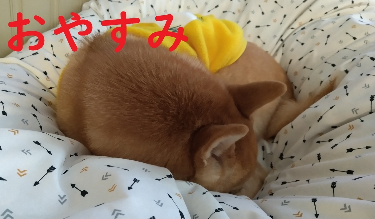 f:id:hanatara:20210110101056j:plain