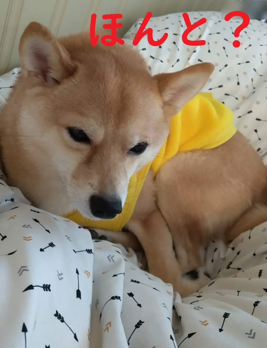f:id:hanatara:20210110101253j:plain
