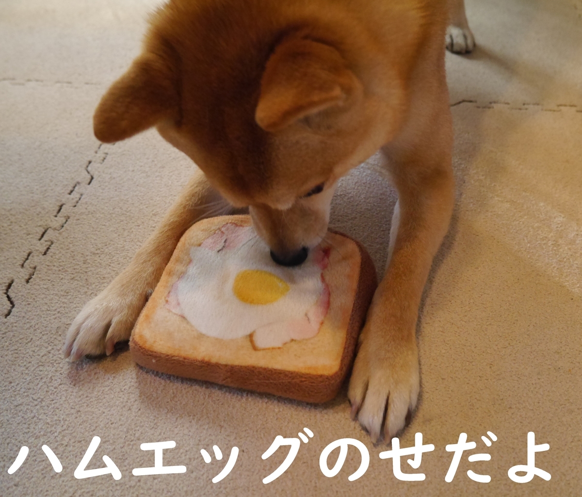 f:id:hanatara:20210110110337j:plain