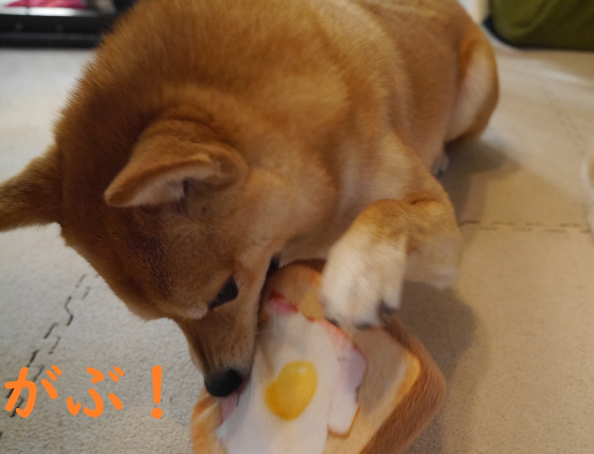 f:id:hanatara:20210110110757j:plain