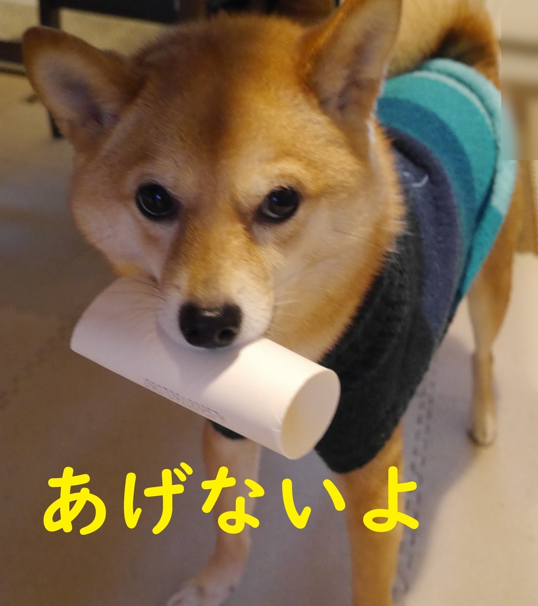 f:id:hanatara:20210116085407j:plain