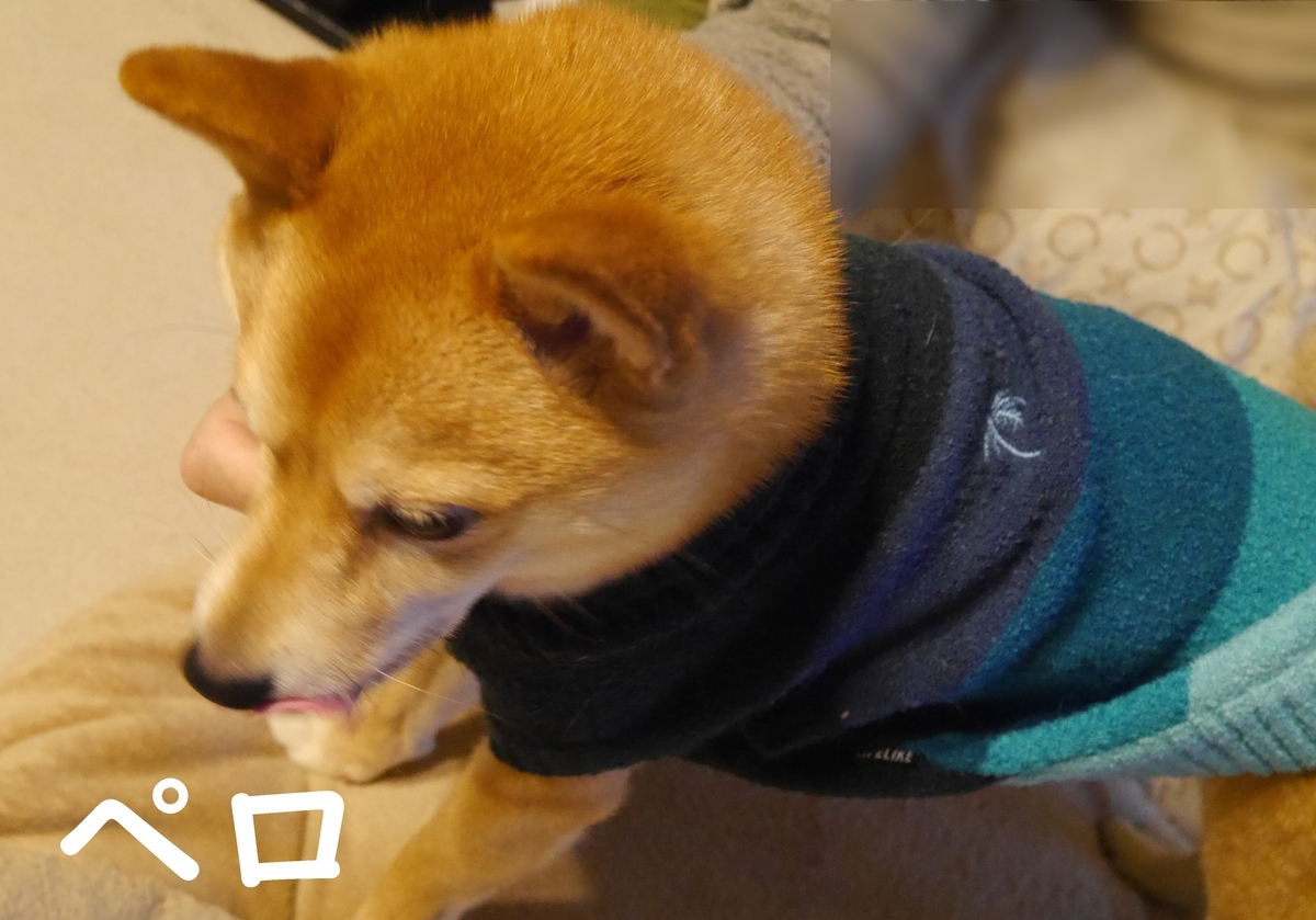f:id:hanatara:20210116092820j:plain