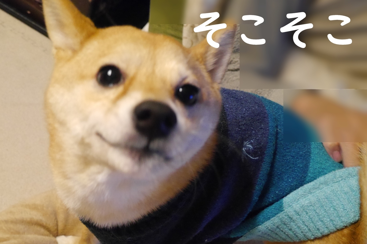 f:id:hanatara:20210116092953j:plain
