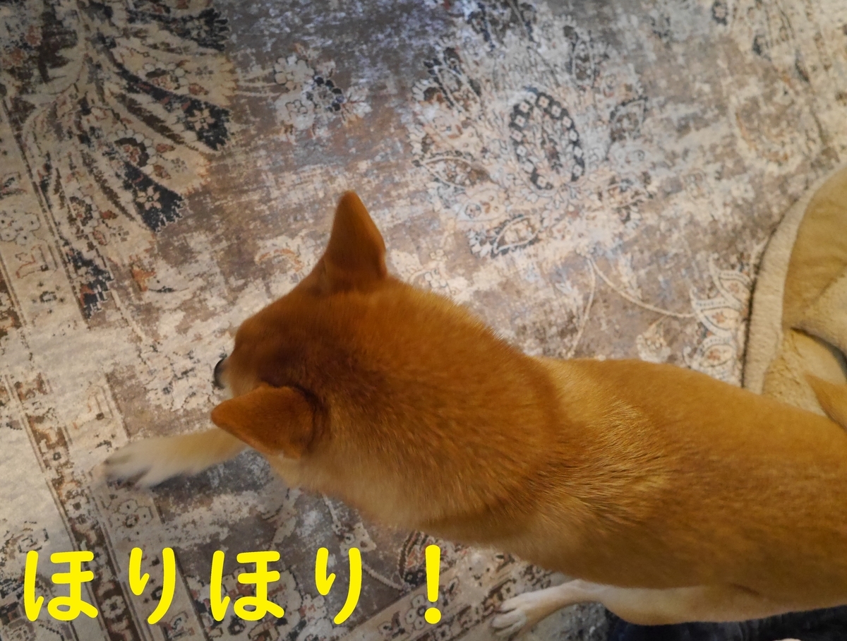 f:id:hanatara:20210116131459j:plain