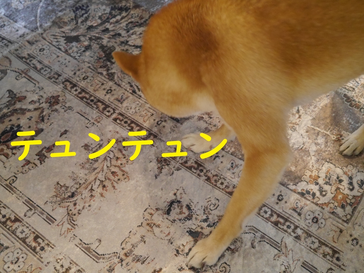 f:id:hanatara:20210116131812j:plain