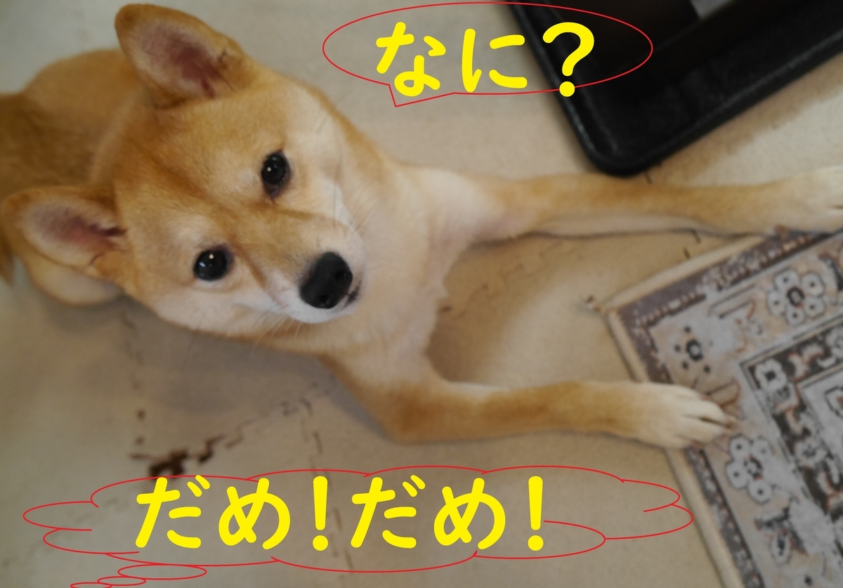 f:id:hanatara:20210116135936j:plain
