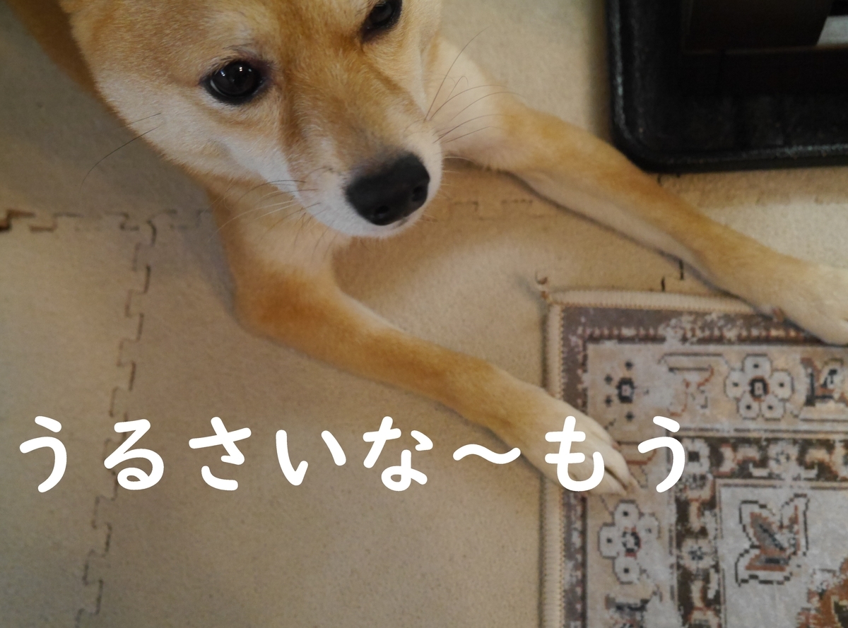 f:id:hanatara:20210116140904j:plain