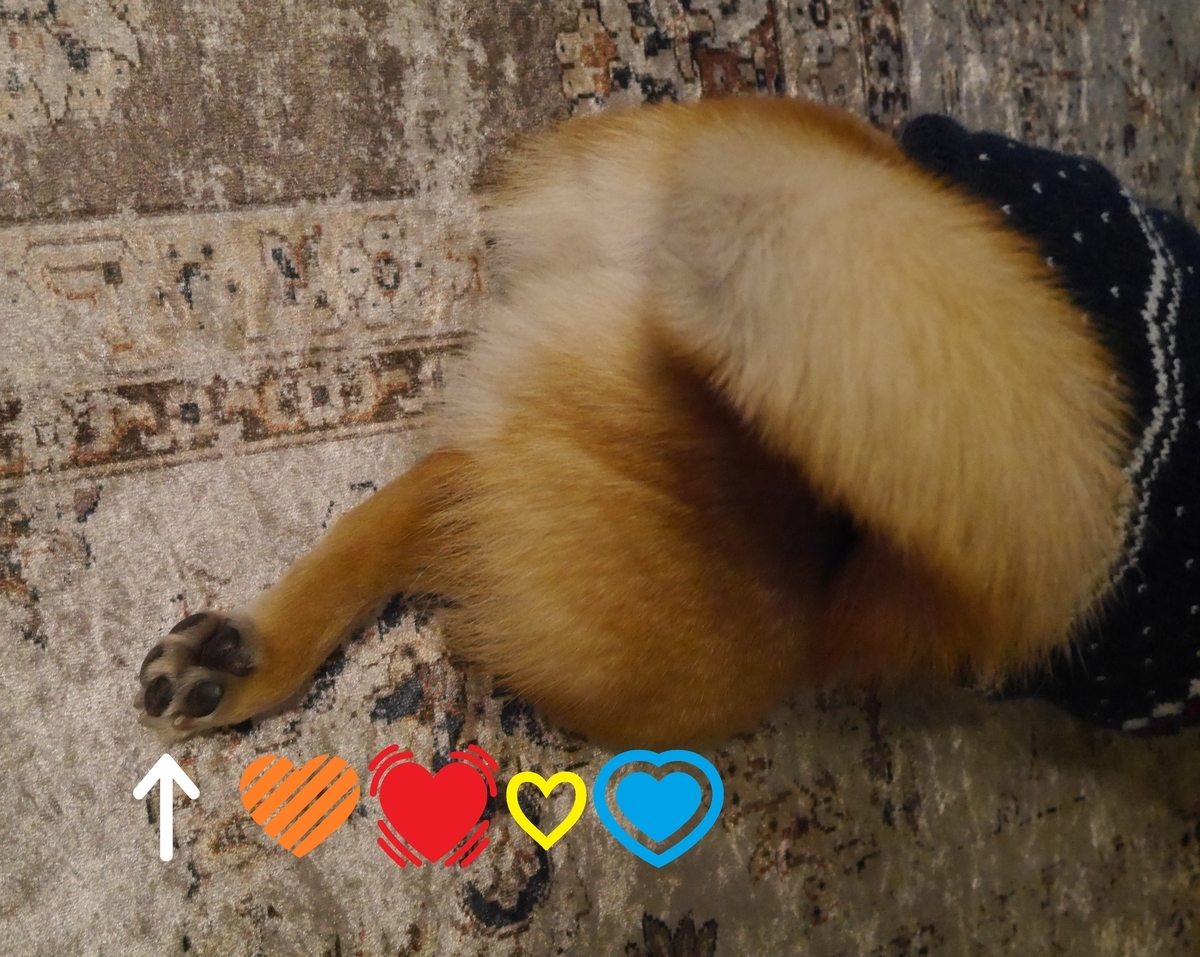 f:id:hanatara:20210117113123j:plain