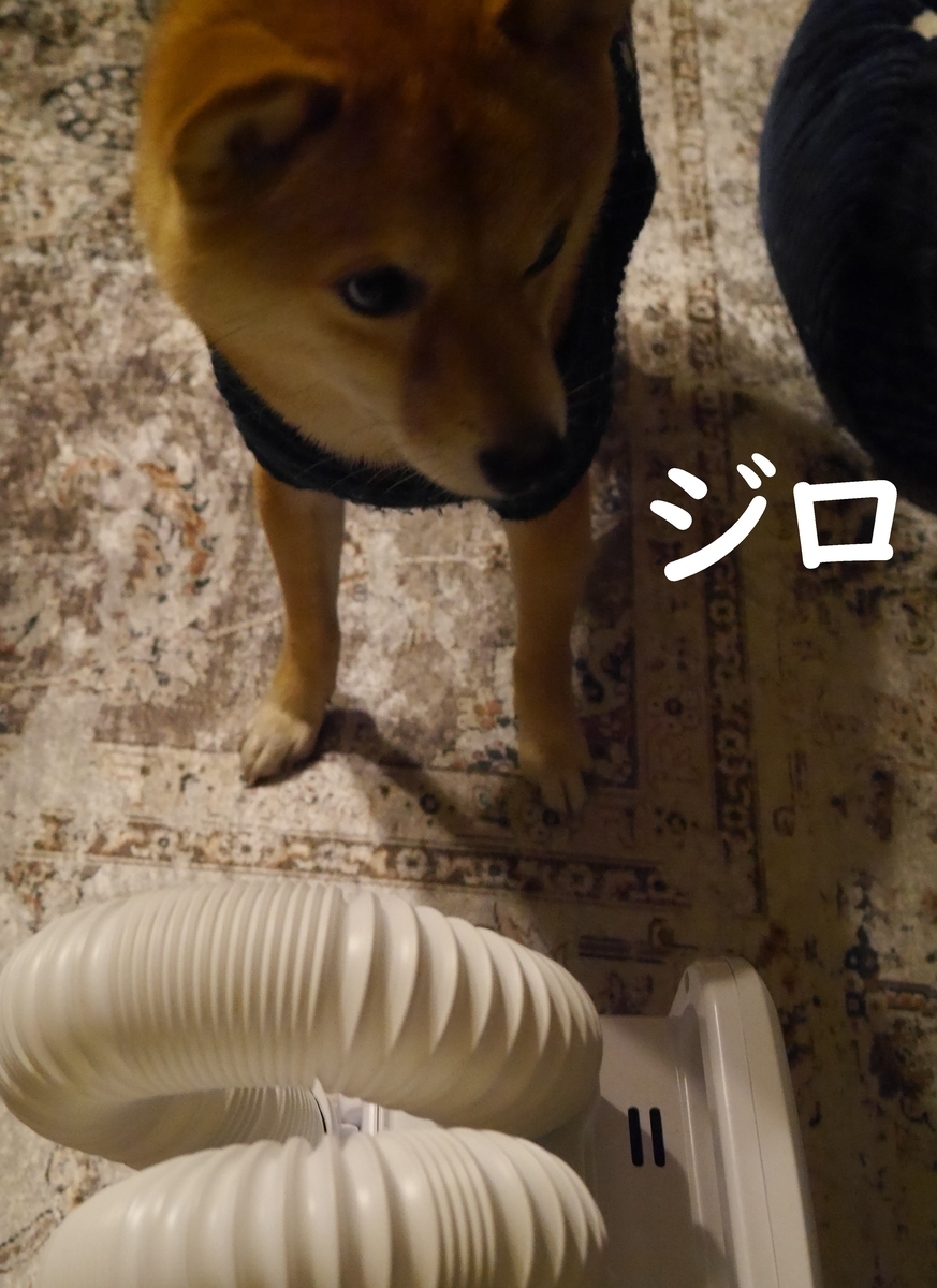 f:id:hanatara:20210122085927j:plain