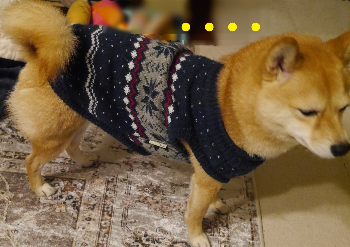 f:id:hanatara:20210122090220j:plain
