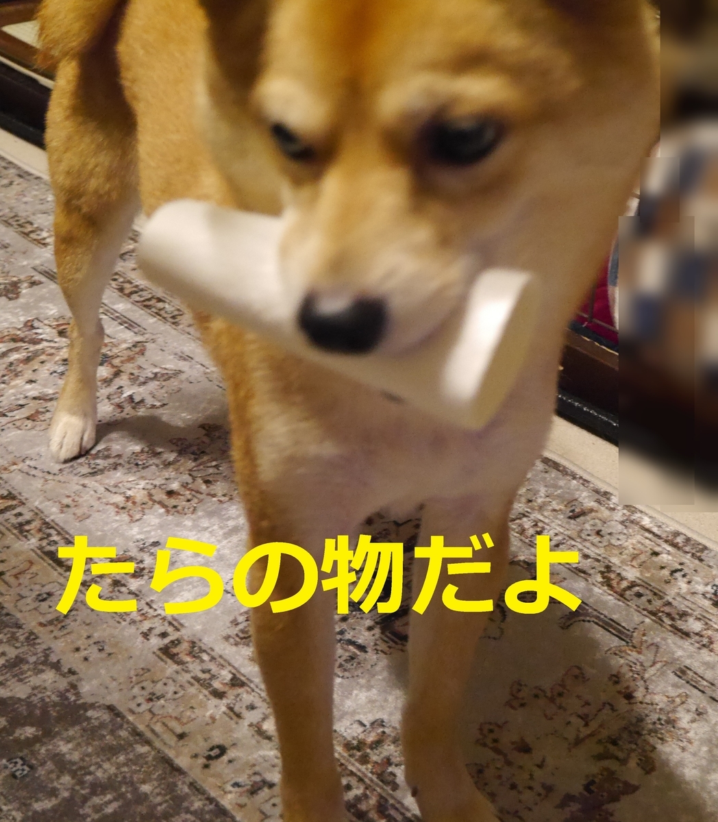 f:id:hanatara:20210129090311j:plain