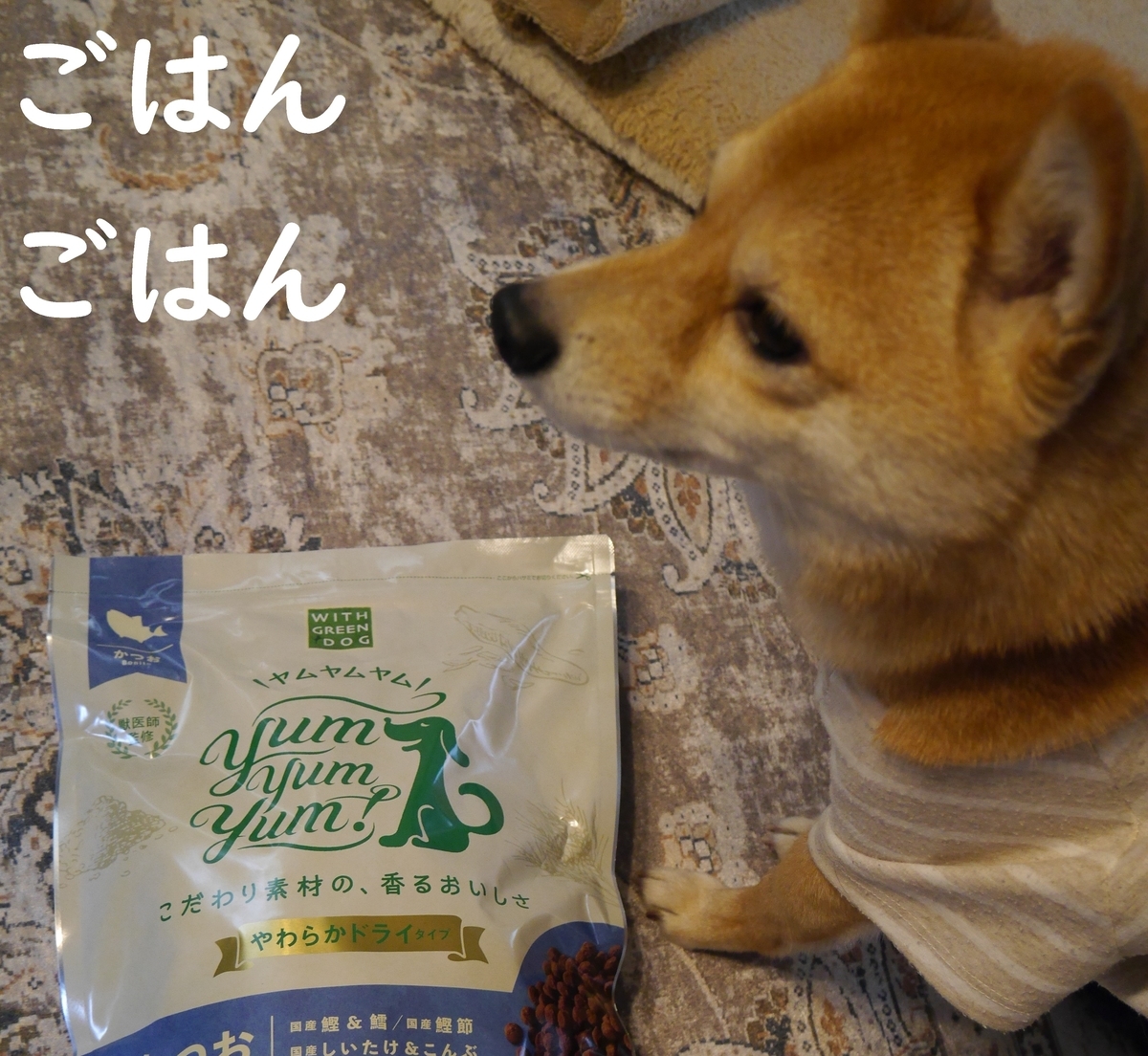 f:id:hanatara:20210211111500j:plain