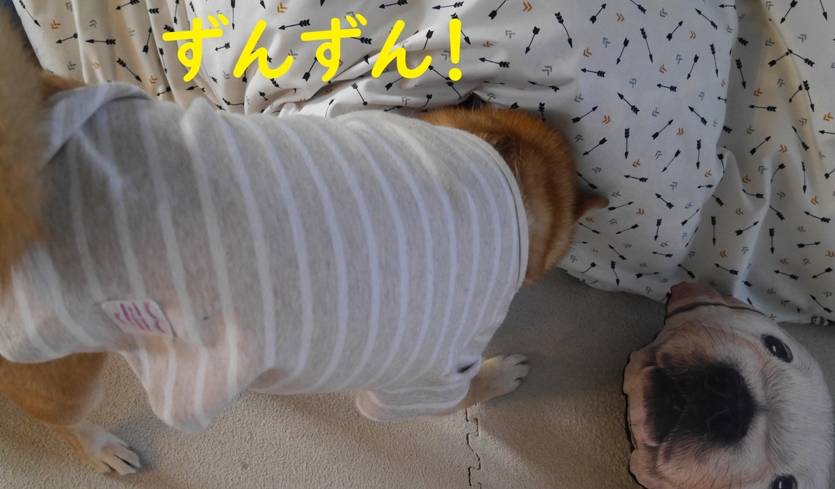 f:id:hanatara:20210213104611j:plain