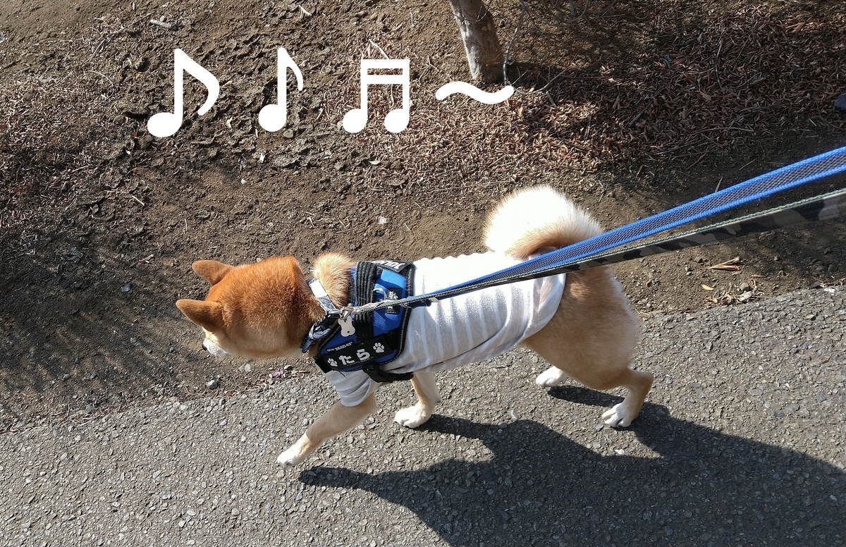 f:id:hanatara:20210216090610j:plain