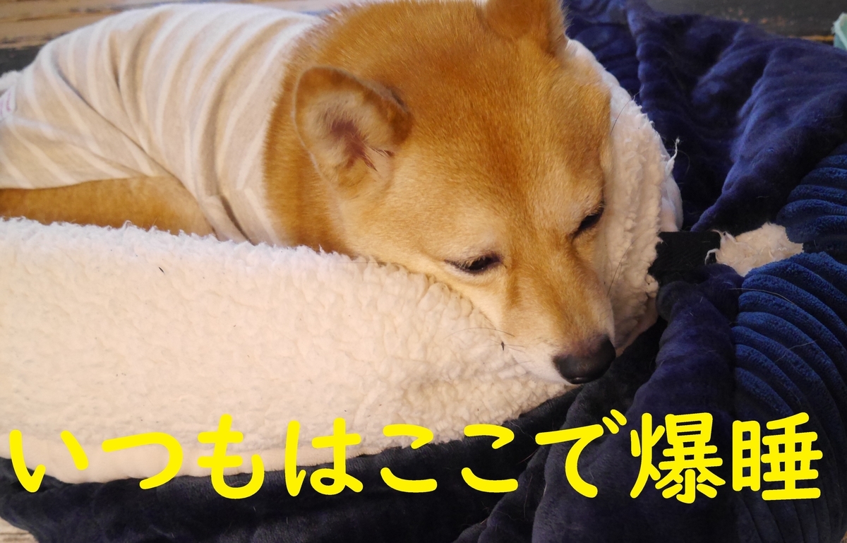 f:id:hanatara:20210220091143j:plain