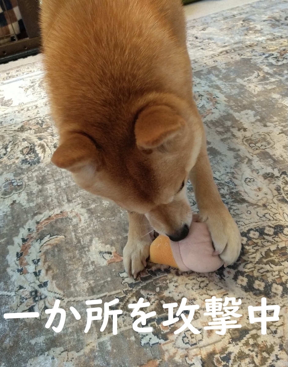 f:id:hanatara:20210223112020j:plain