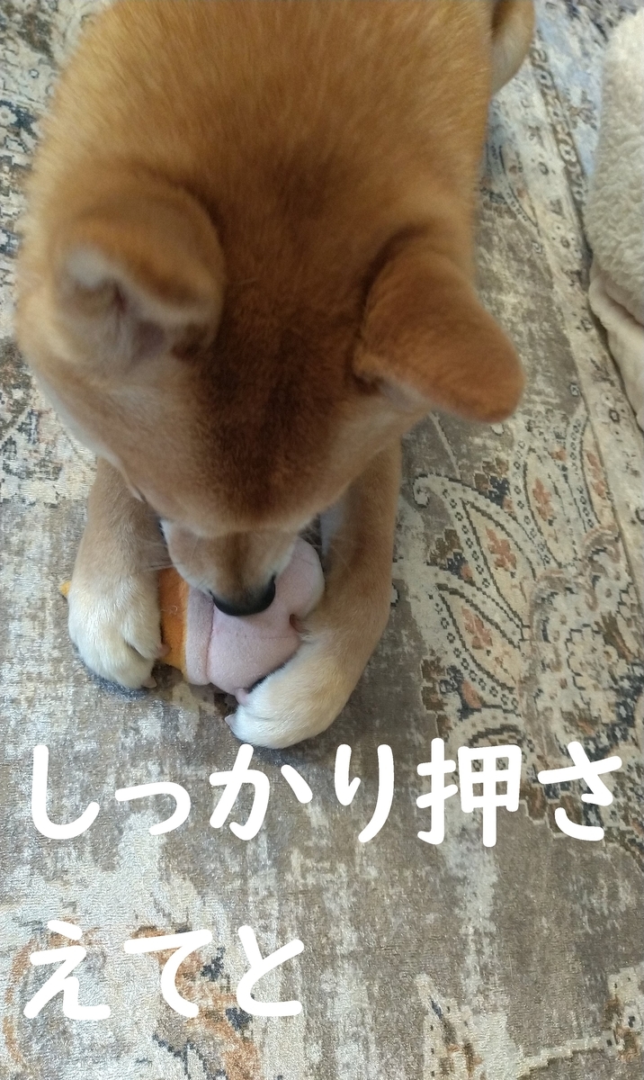 f:id:hanatara:20210223112125j:plain