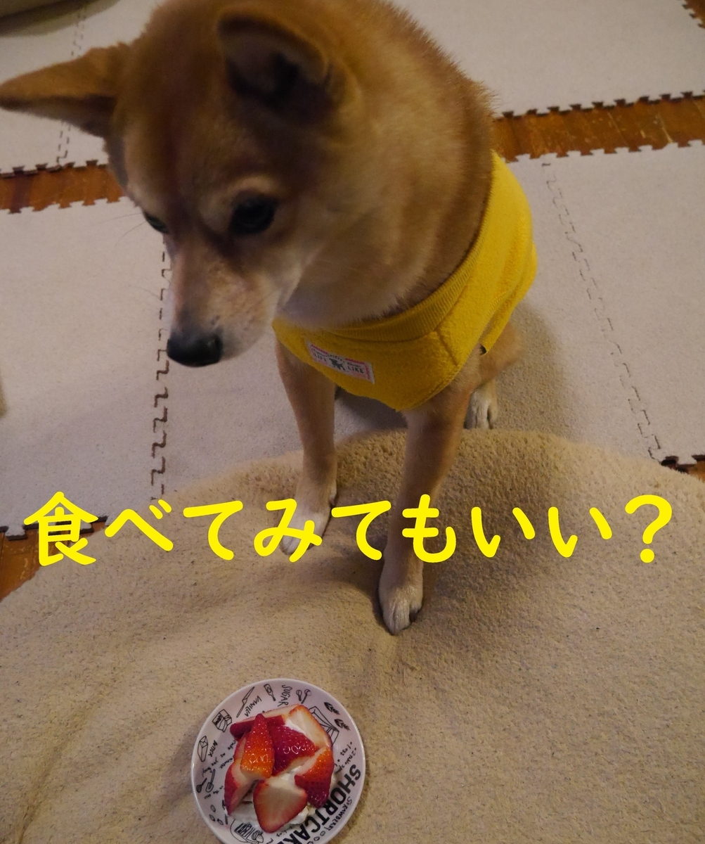f:id:hanatara:20210302124522j:plain