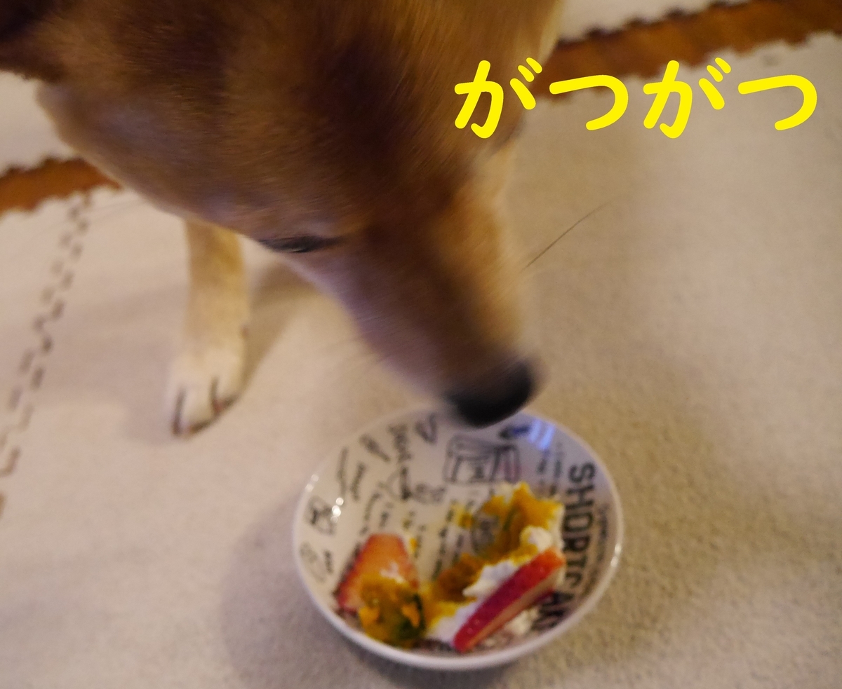 f:id:hanatara:20210302124921j:plain
