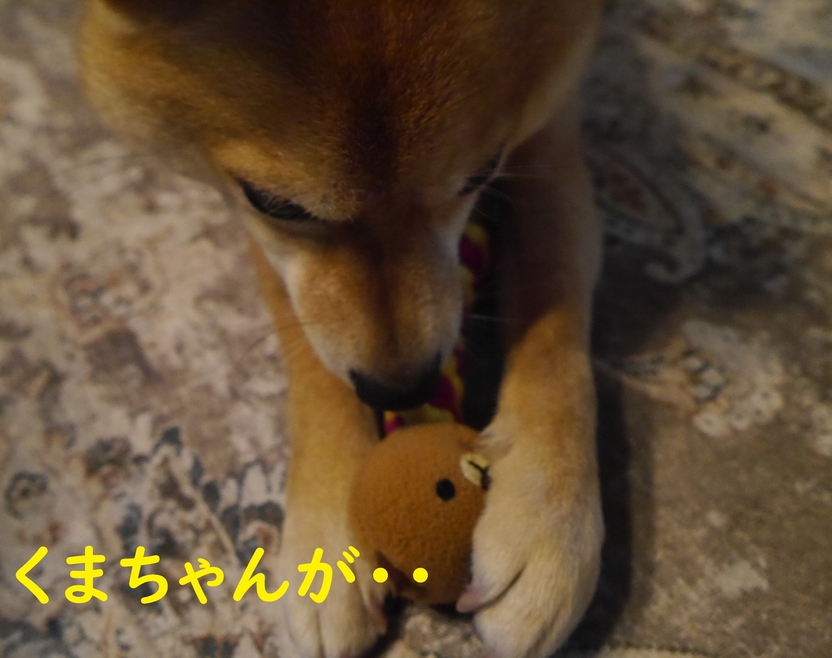 f:id:hanatara:20210307114715j:plain