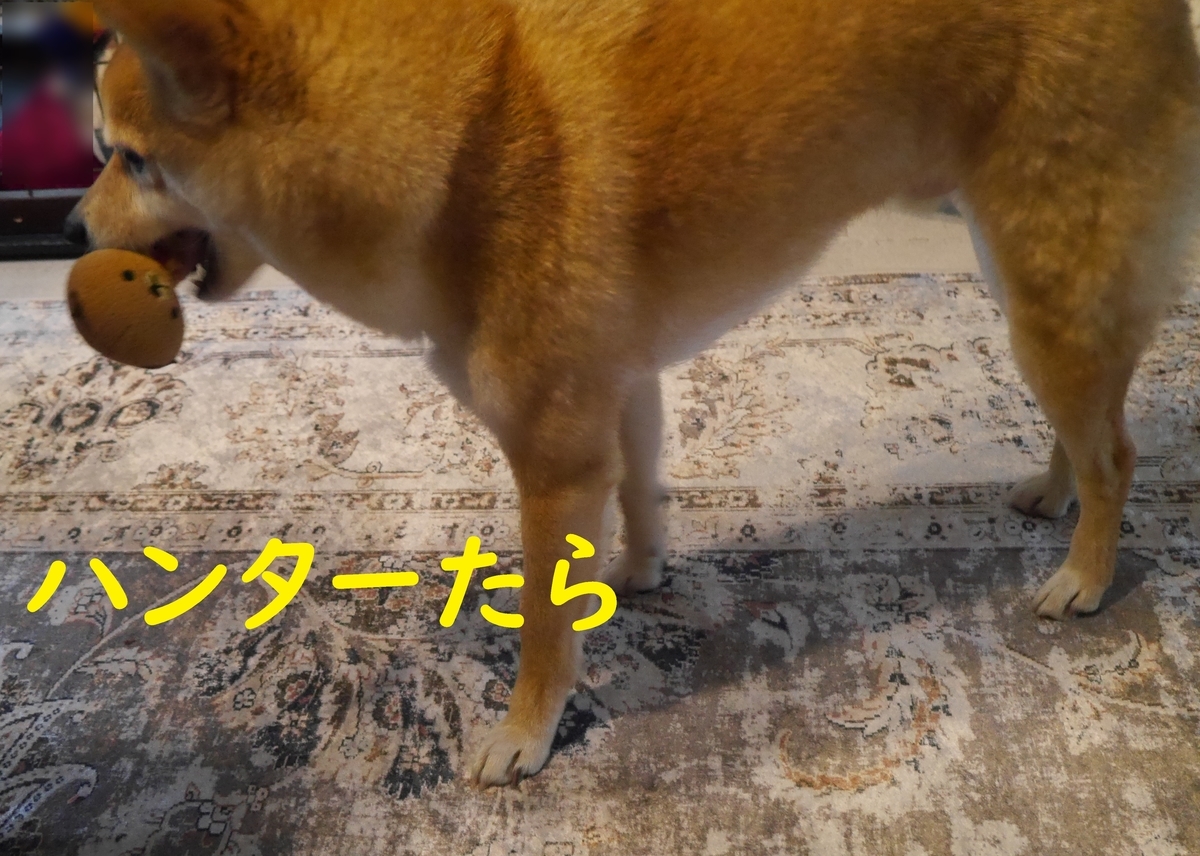 f:id:hanatara:20210307114817j:plain