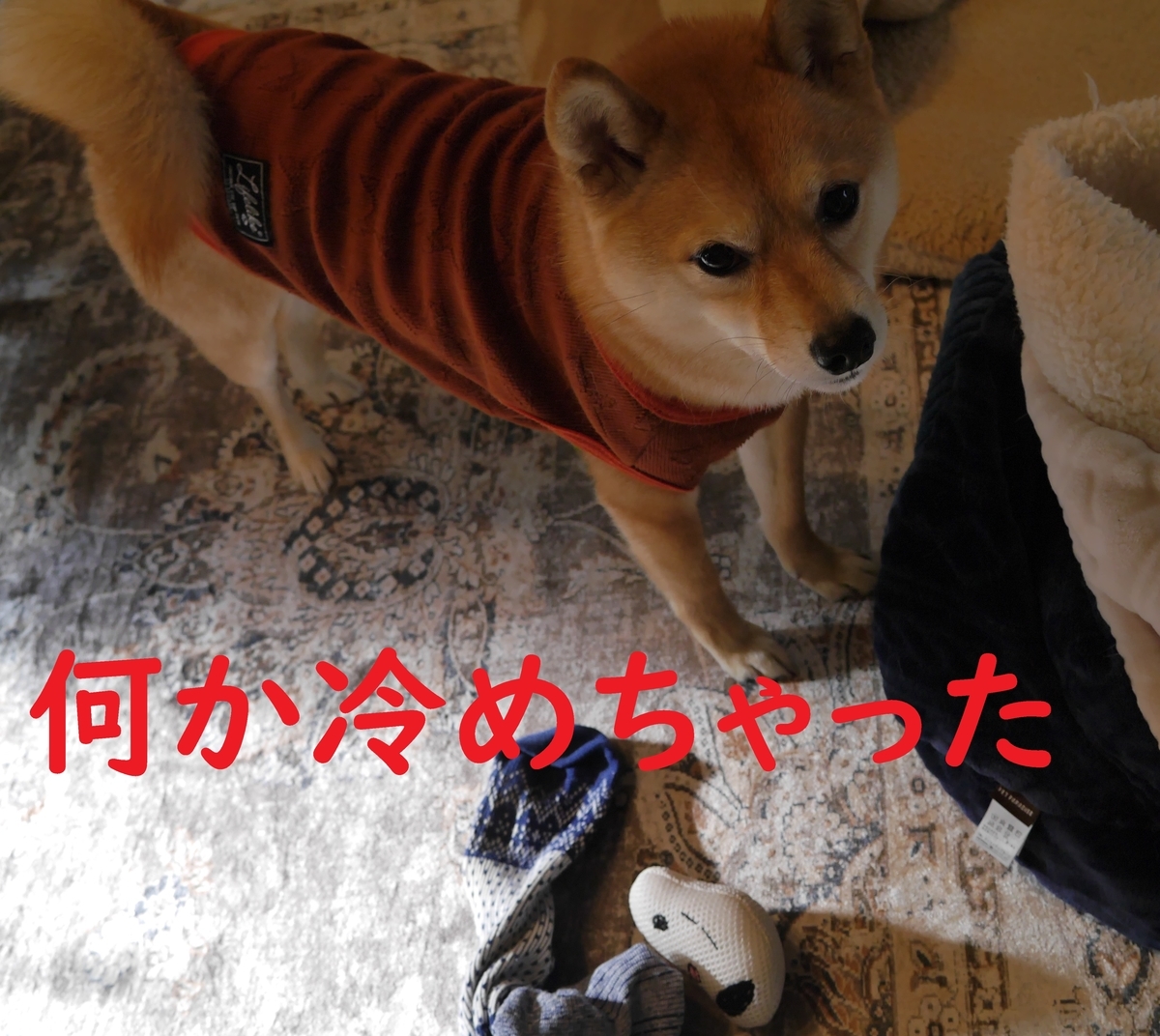 f:id:hanatara:20210310114728j:plain