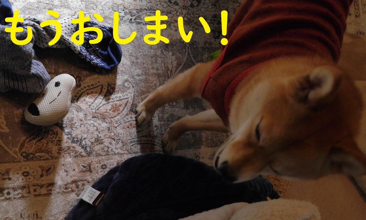 f:id:hanatara:20210310115316j:plain