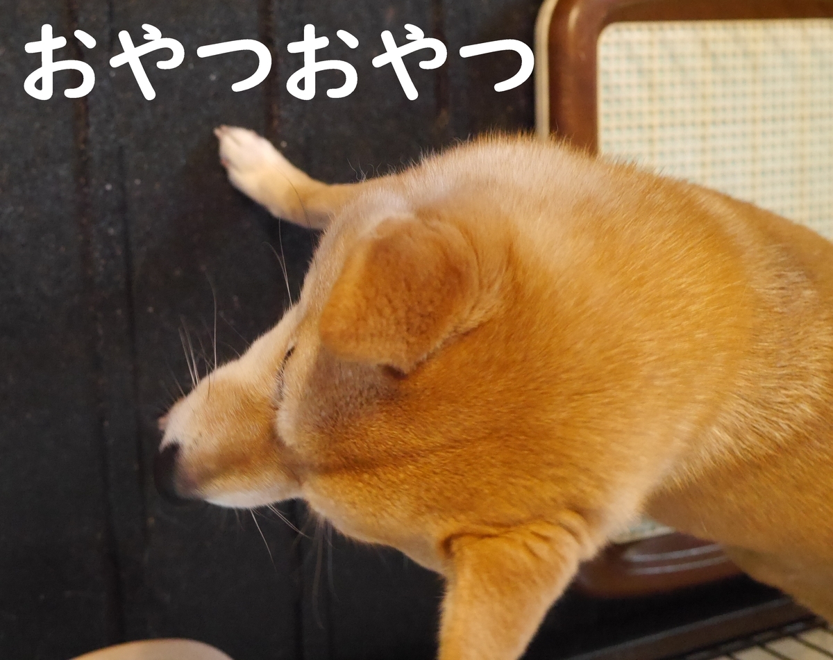 f:id:hanatara:20210314100621j:plain