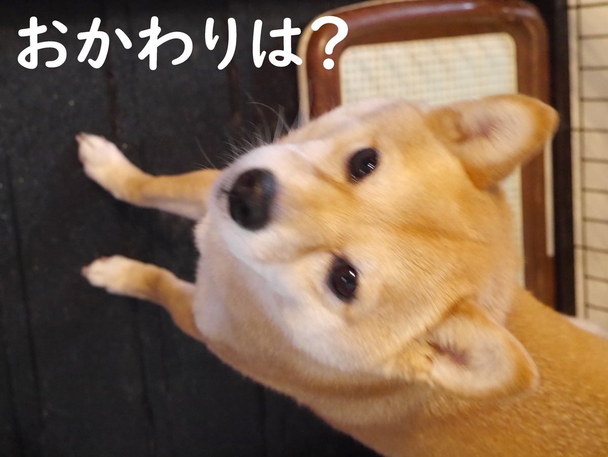 f:id:hanatara:20210314100740j:plain