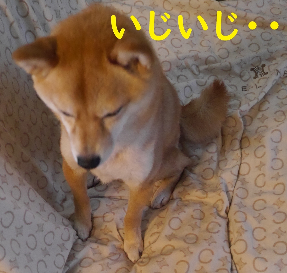 f:id:hanatara:20210316093254j:plain
